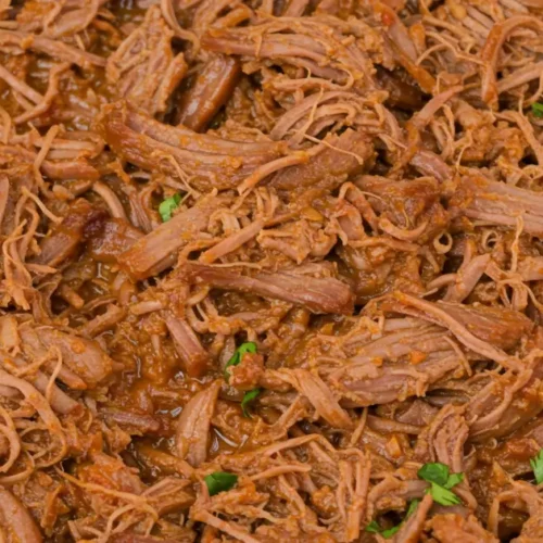 mexican shredded beef